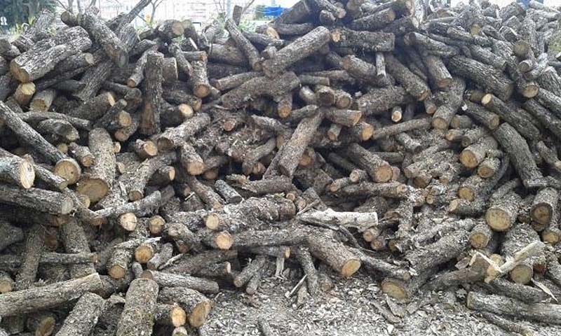 Fourniture de bois de chauffage Sainte-Maxime